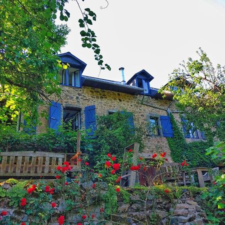 Bed and Breakfast Aux Sources De L'Yonne Glux-en-Glenne Exteriér fotografie